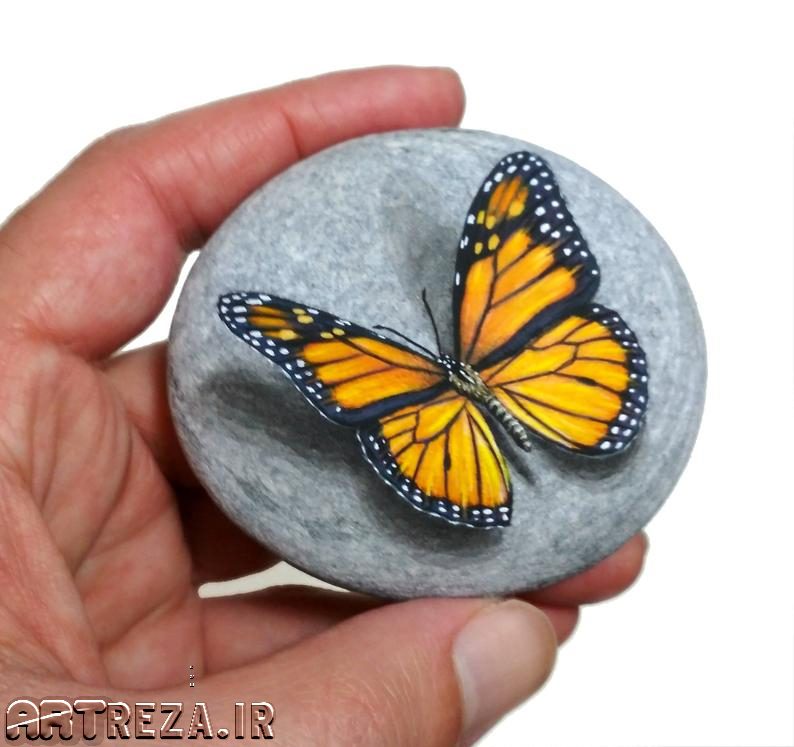 نقاشی پروانه روی سنگها