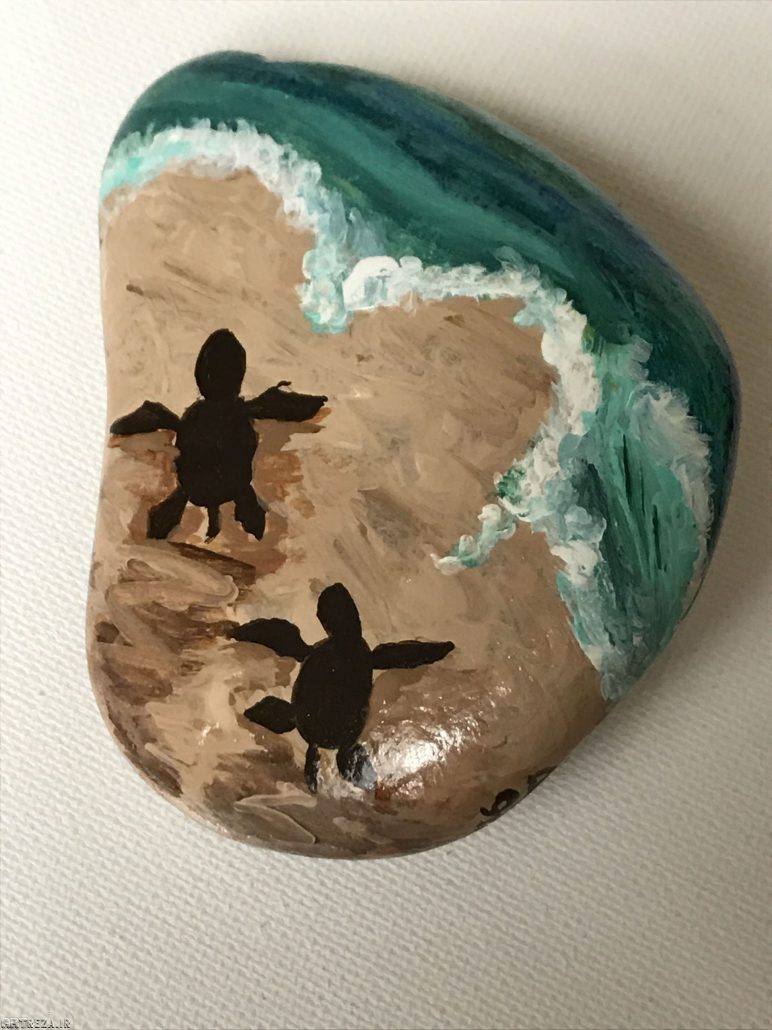 نقاشی لاکپشت روی سنگها