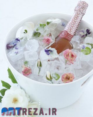 یخ سازی با گل خشک